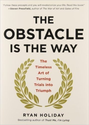 6. The Obstacle Is the Way (Trở ngại chính là con đường) - Ryan Holiday