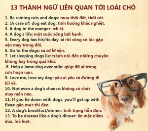 Dưới đây là 13 thành ngữ liên quan đến từ "Dog"