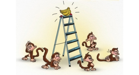 5 con khỉ và 1 nải chuối: Bài học về những nhà lãnh đạo vùi dập và nhân viên mù quáng