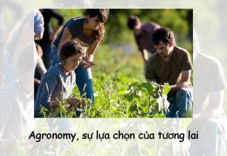 Agronomy, sự lựa chọn của tương lai