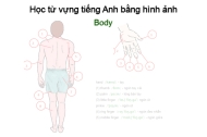 Học từ vựng tiếng Anh bằng hình ảnh: The Body