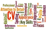 CV hoặc C.V  có nghĩa là gì?