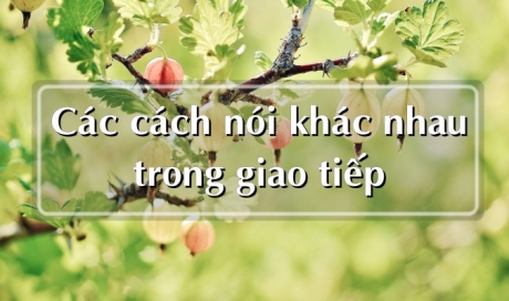 Học cách diễn đạt khác nhau trong tiếng anh