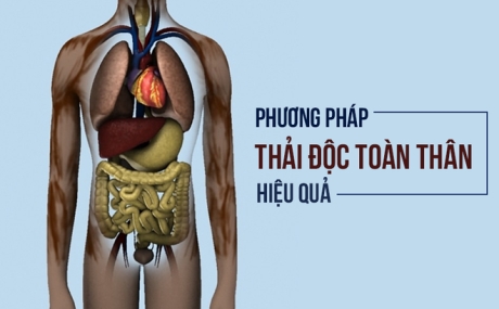 Làm sao để chúng ta thải độc toàn bộ cơ thể?