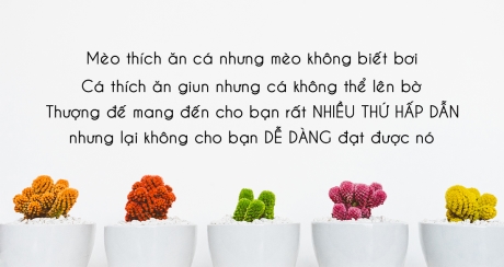 Đời là bể khổ, bây giờ không khổ, sau này càng khổ