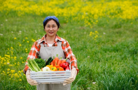 Triết lý sống đáng học hỏi từ một người nông dân: Đừng hi vọng điều gì tốt đẹp nếu bạn không chăm chỉ