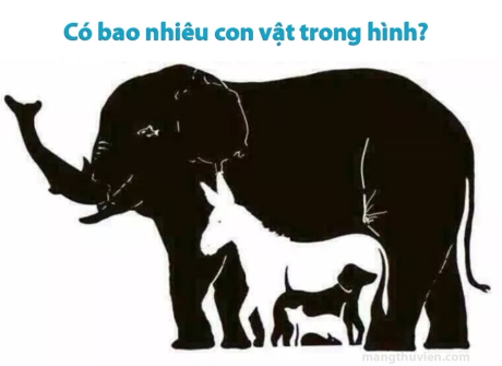 Có bao nhiêu con vật trong hình?