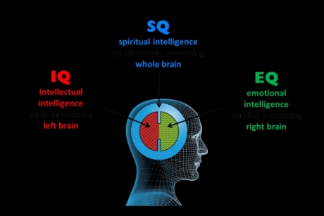 Nâng cao EQ - rút ngắn đường đến thành công