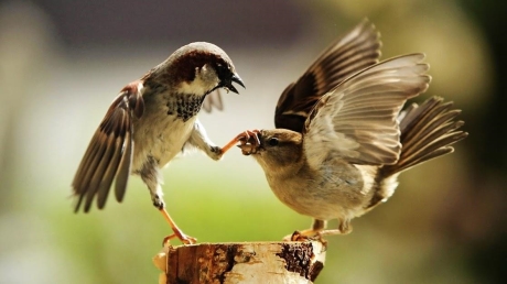 Muốn thêm bạn bớt thù, trong giao tiếp cần ghi nhớ những điều tối kỵ