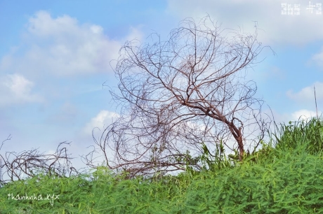 Một thân hủ hoại, 9 đời suy bại: Người gặp khốn cùng, thân nhân đoạn tuyệt