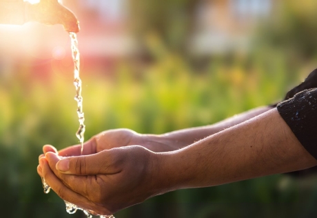 Speaking is easy: Washing Hands