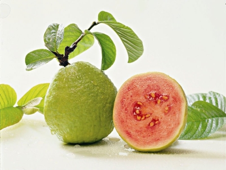 Chuyện ăn ổi ở Bỉ (Belgium Guava)