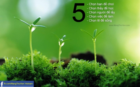 5 lựa chọn quan trọng trong cuộc sống